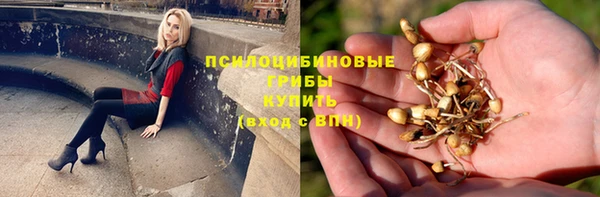 бошки Дегтярск