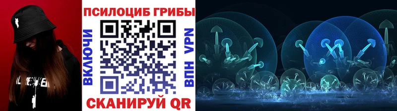 купить наркоту Печора Галлюциногенные грибы Psilocybine cubensis
